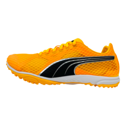 PUMA - POINTES HARAKA 7 UNISEXE - Sun Stream