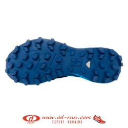 RAIDLIGHT - RESPONSIV 2.0 DYNAMIC - Navy / Blue