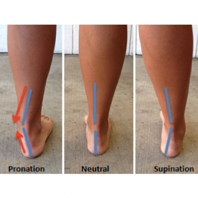 La pronation, qu'est ce qu'est ?